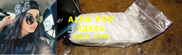 МДПВ Кукмор
