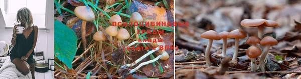 МДПВ Кукмор