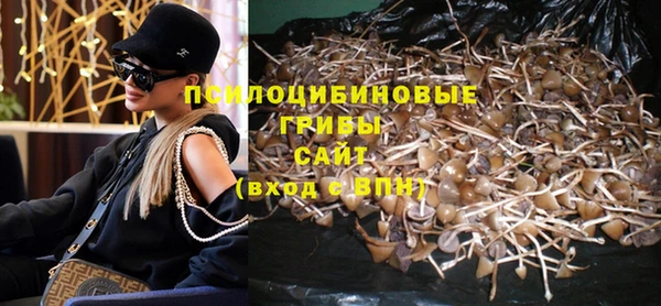 ГАЛЛЮЦИНОГЕННЫЕ ГРИБЫ Красноперекопск