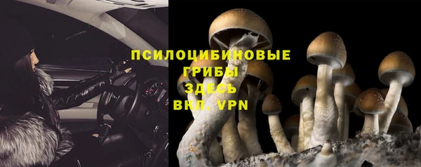 экстази Липки