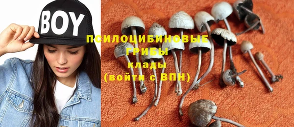 экстази Липки