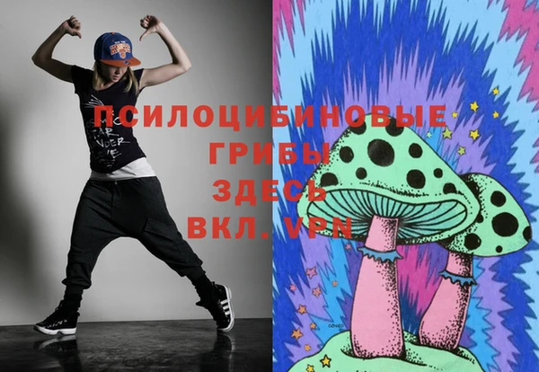 mix Рославль