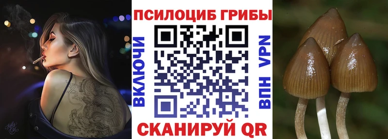 Псилоцибиновые грибы MAGIC MUSHROOMS как найти закладки Тимашёвск